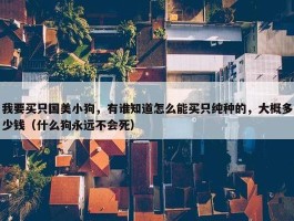 我要买只国美小狗，有谁知道怎么能买只纯种的，大概多少钱（什么狗永远不会死）