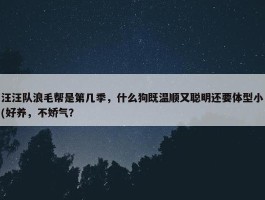 汪汪队浪毛帮是第几季，什么狗既温顺又聪明还要体型小(好养，不娇气？