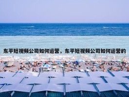 东平短视频公司如何运营，东平短视频公司如何运营的