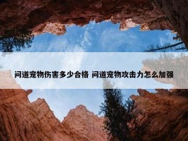 问道宠物伤害多少合格 问道宠物攻击力怎么加强