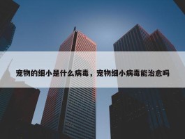 宠物的细小是什么病毒，宠物细小病毒能治愈吗