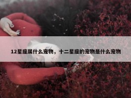 12星座属什么宠物，十二星座的宠物是什么宠物