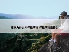 宠物为什么叫伴侣动物 伴侣动物是什么