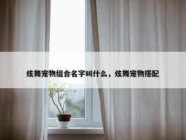 炫舞宠物组合名字叫什么，炫舞宠物搭配