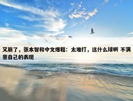 又崩了，张本智和中文爆粗：太难打，这什么球啊 不满意自己的表现