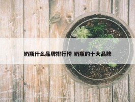 奶瓶什么品牌排行榜 奶瓶的十大品牌