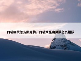 口袋幽灵怎么抓宠物，口袋妖怪幽灵队怎么组队