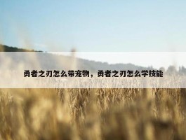 勇者之刃怎么带宠物，勇者之刃怎么学技能