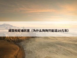 藏獒和蛇谁厉害（为什么狗狗只能活10几年）