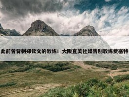 此前曾背刺郑钦文的教练！大阪直美社媒告别教练费塞特