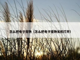 怎么把电子宠物（怎么把电子宠物关机打开）