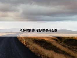 毛驴啊抖音 毛驴啊是什么歌