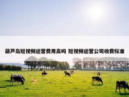 葫芦岛短视频运营费用高吗 短视频运营公司收费标准