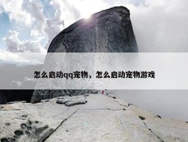 怎么启动qq宠物，怎么启动宠物游戏