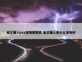 兽王猎人pve宠物哪里抓 兽王猎人抓什么宠物好