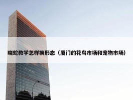 晓蛇教学怎样换形态（厦门的花鸟市场和宠物市场）