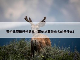 哥伦比亚排行榜第几（哥伦比亚最有名的是什么）