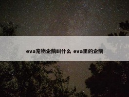 eva宠物企鹅叫什么 eva里的企鹅