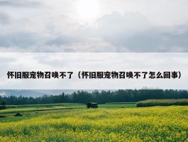 怀旧服宠物召唤不了（怀旧服宠物召唤不了怎么回事）