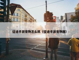 征途手游宠物怎么抓（征途手游宠物图）