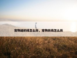 宠物缝的线怎么拆，宠物拆线怎么拆