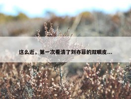 这么近，第一次看清了刘亦菲的双眼皮...