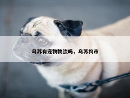 乌苏有宠物物流吗，乌苏狗市