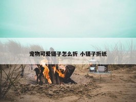 宠物可爱镊子怎么折 小镊子折纸