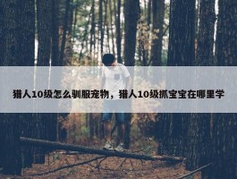 猎人10级怎么驯服宠物，猎人10级抓宝宝在哪里学