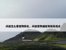 问道怎么看宠物排名，问道宠物捕捉等级及地点