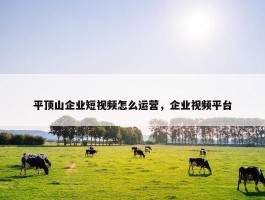 平顶山企业短视频怎么运营，企业视频平台