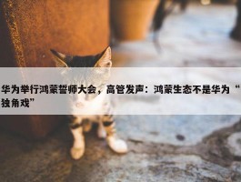 华为举行鸿蒙誓师大会，高管发声：鸿蒙生态不是华为“独角戏”