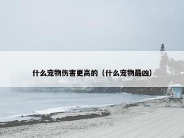 什么宠物伤害更高的（什么宠物最凶）