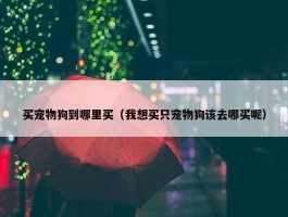 买宠物狗到哪里买（我想买只宠物狗该去哪买呢）