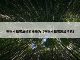 宠物小精灵单机游戏华为（宠物小精灵游戏手机）