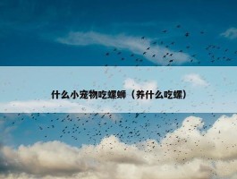 什么小宠物吃螺蛳（养什么吃螺）