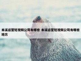 本溪运营短视频公司有哪些 本溪运营短视频公司有哪些地方