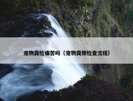 宠物粪检痛苦吗（宠物粪便检查流程）