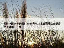 期待中国小将表现！2025年U19世青赛球队全部出炉 6月瑞士开打