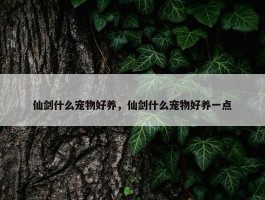 仙剑什么宠物好养，仙剑什么宠物好养一点