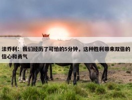 法乔利：我们经历了可怕的5分钟，这种胜利带来双倍的信心和勇气