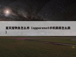 夏天宠物鱼怎么养（opporeno5手机截屏怎么截）