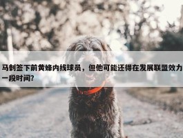 马刺签下前黄蜂内线球员，但他可能还得在发展联盟效力一段时间？