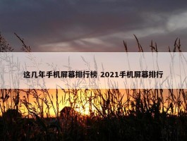 这几年手机屏幕排行榜 2021手机屏幕排行