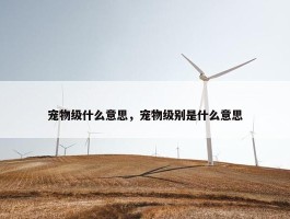 宠物级什么意思，宠物级别是什么意思