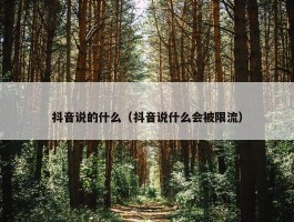 抖音说的什么（抖音说什么会被限流）