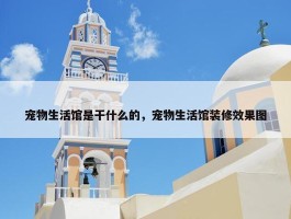 宠物生活馆是干什么的，宠物生活馆装修效果图