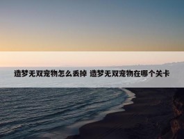 造梦无双宠物怎么丢掉 造梦无双宠物在哪个关卡