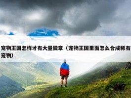 宠物王国怎样才有大量徽章（宠物王国里面怎么合成稀有宠物）