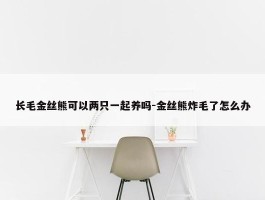 长毛金丝熊可以两只一起养吗-金丝熊炸毛了怎么办